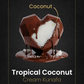 Tropical Coconut Cream Kunafa - Karmazin Chocolate